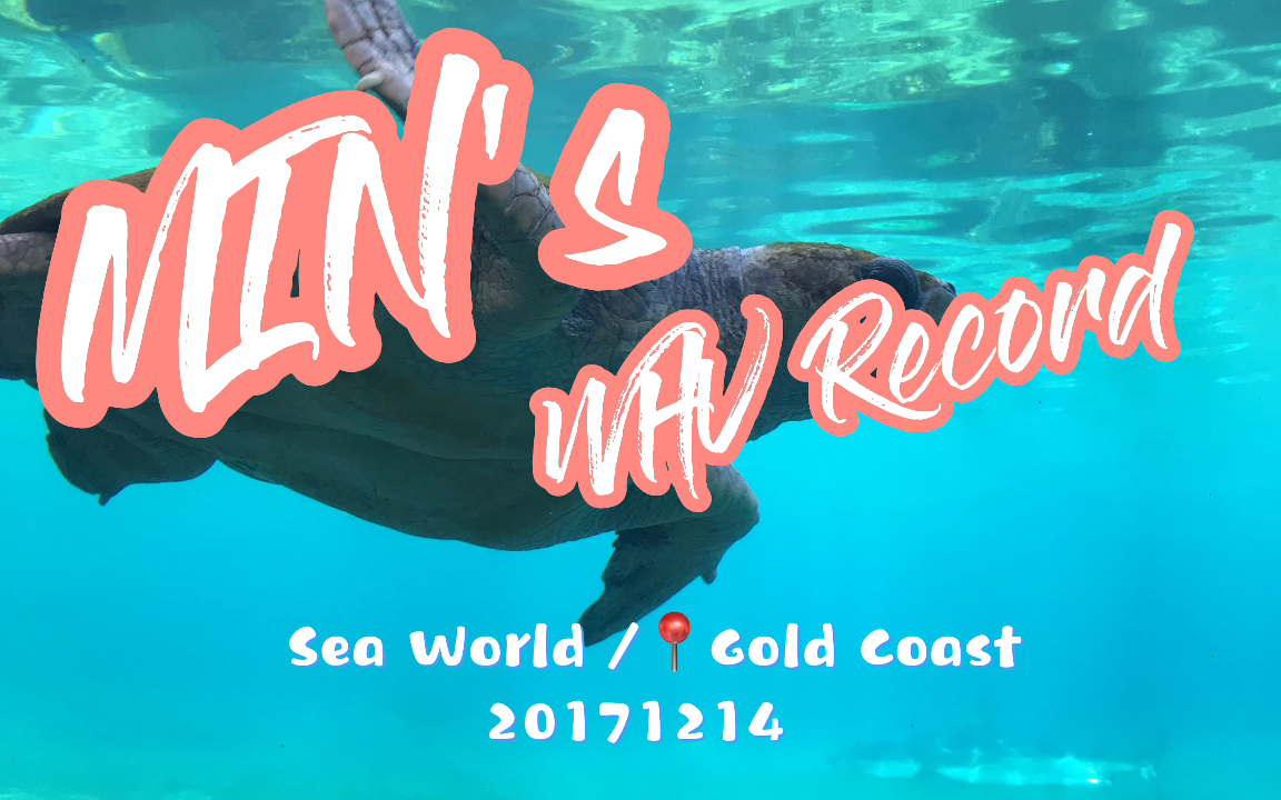 澳洲WHV|Gold Coast|Sea World(1)哔哩哔哩bilibili