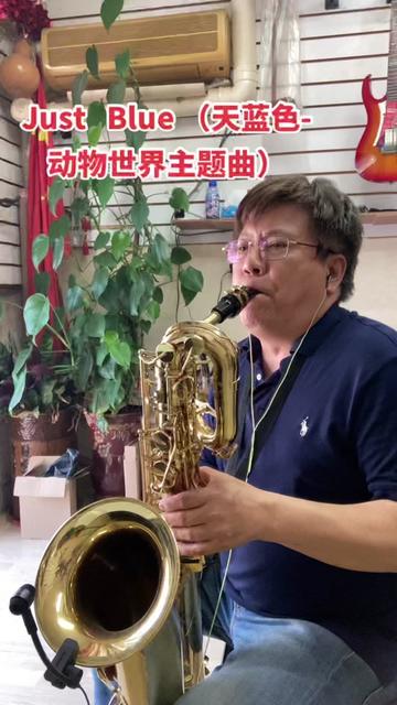 動物世界主題曲 #上低音薩克斯#薩克斯演奏 #歡快的節奏 #感謝支持