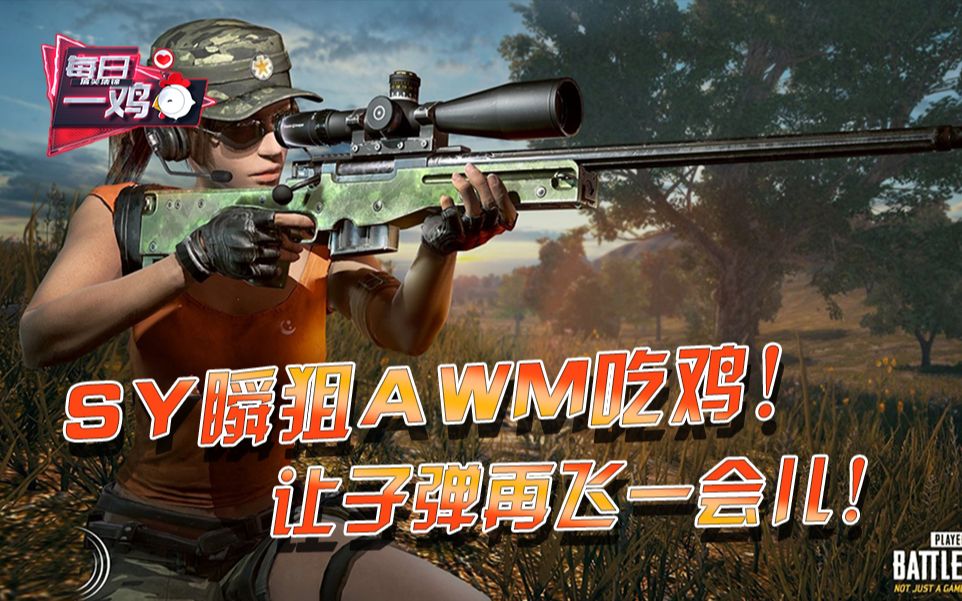 绝地求生:sy瞬狙awm12杀吃鸡!网友:这手法我怎么感觉像是在打cf?