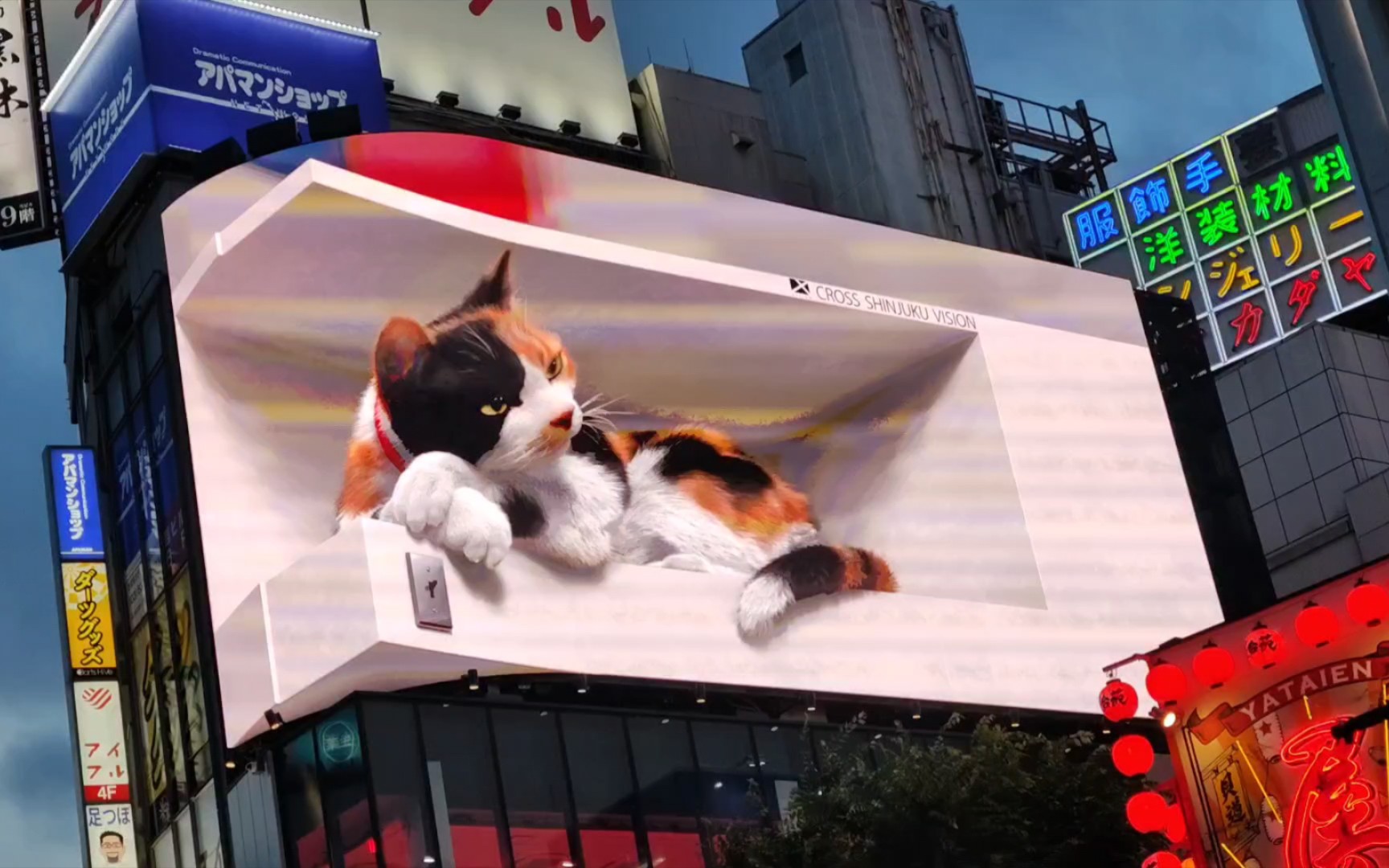 东京新宿3d立体屏幕猫