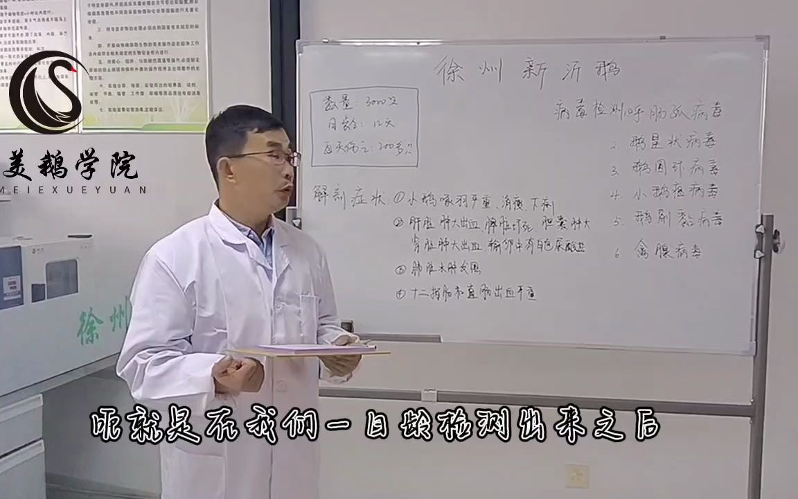 鹅病毒检测6项具体的问题,大美鹅职业养鹅培训学院徐老师带你分析鹅星状病毒和鹅圆环病毒呼肠孤病毒哔哩哔哩bilibili