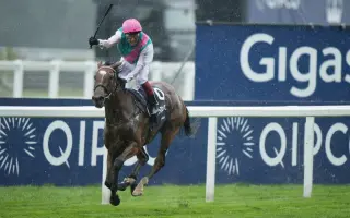 英皇锦标 搜索结果 哔哩哔哩 Bilibili