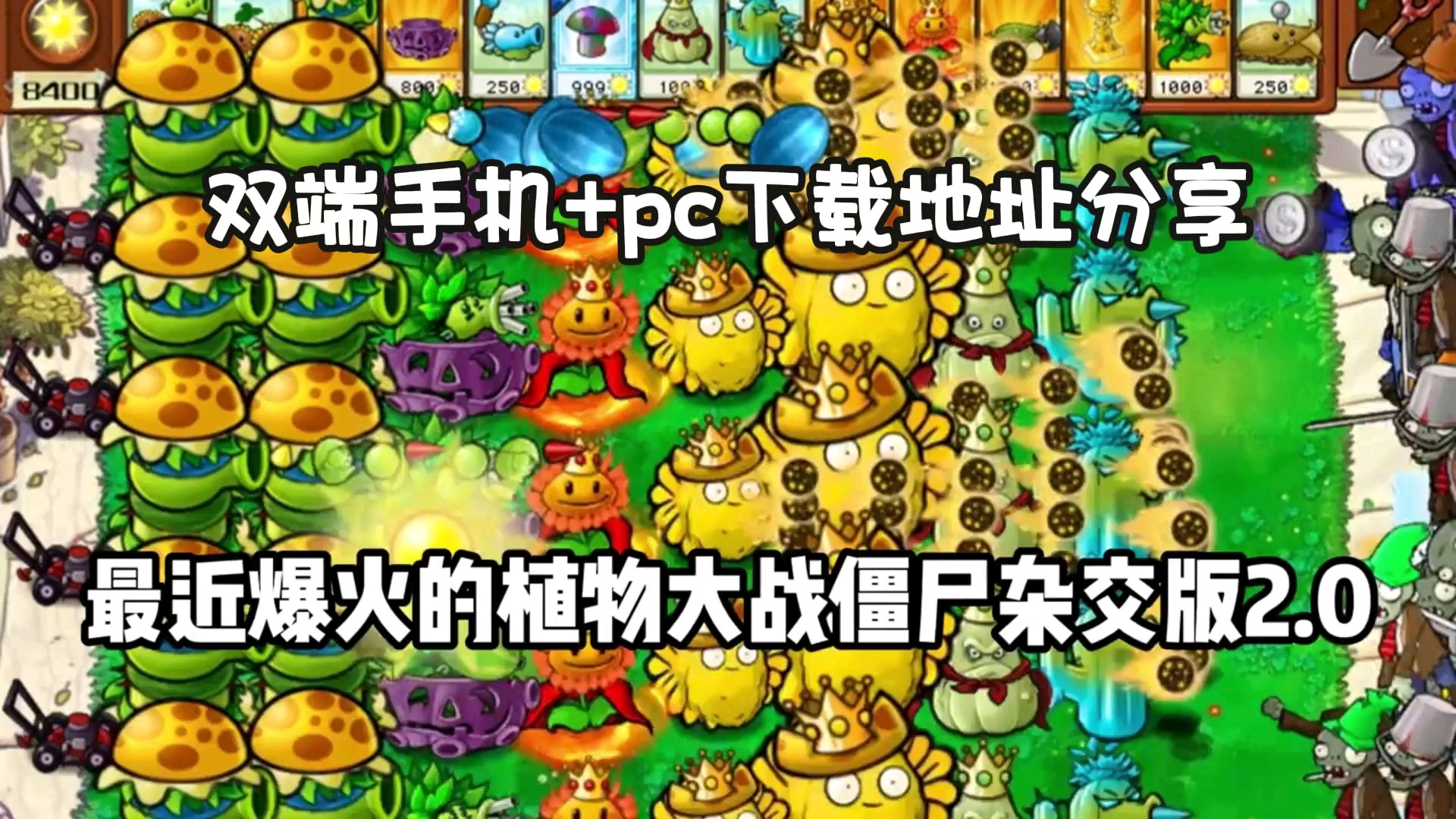 [图]【植物大战僵尸杂交版】双端手机+PC下载地址分享，植物大战僵尸杂交版修改器，重整植物大战僵尸荣光，植物大战僵尸杂交版下载方法