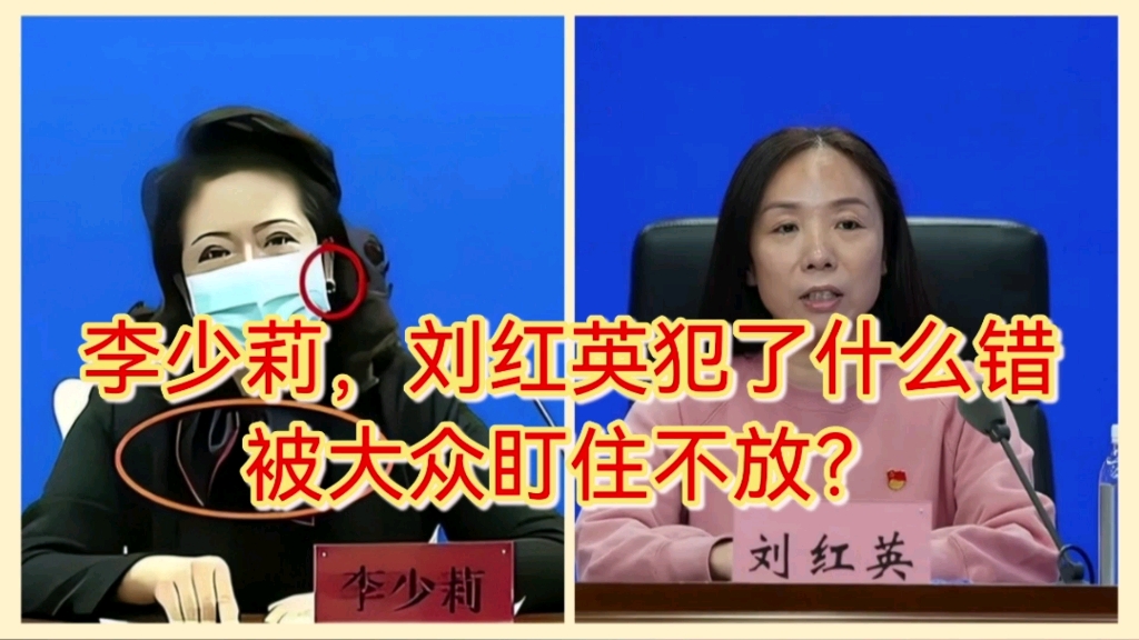 — 谈谈关于“网红”局长李少莉,刘红英事件的个人看法哔哩哔哩bilibili