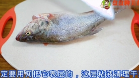 年夜饭硬菜，金花杏鲍菇，酸甜可口又好看_哔哩哔哩(゜-゜)つロ干杯 