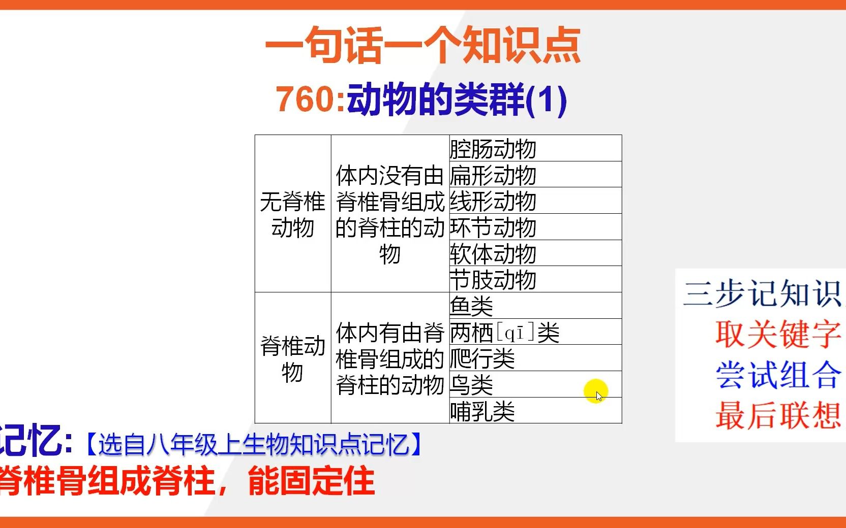 0760生物类(八上)动物的类群(1)哔哩哔哩bilibili