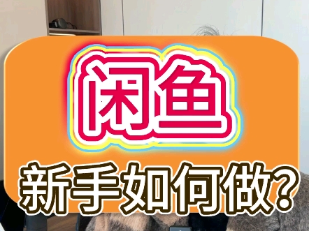 闲鱼新手怎么做?哔哩哔哩bilibili