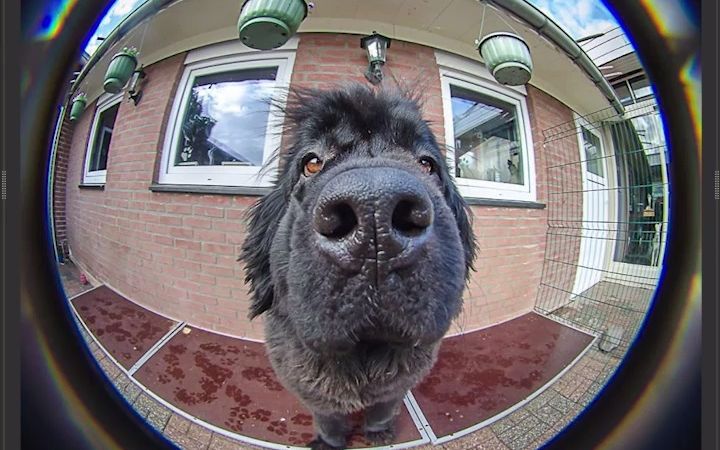 如何用cr摄像机制作这种鱼眼镜头效果