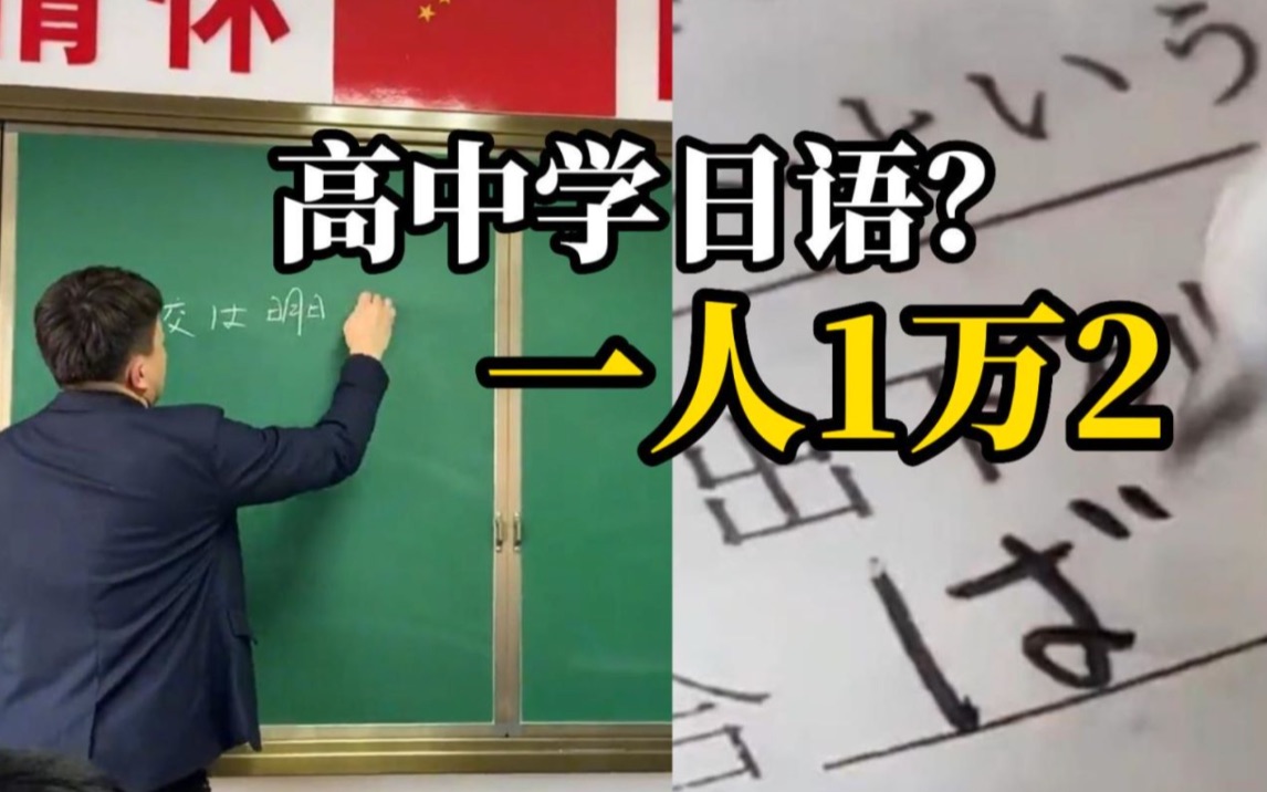 山东部分高中违规引进校外机构开展日语教学,学费最低12000元.官方责令退费整改!哔哩哔哩bilibili