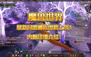 Download Video: 魔兽世界最新同盟种族即将上线！内附详细介绍！