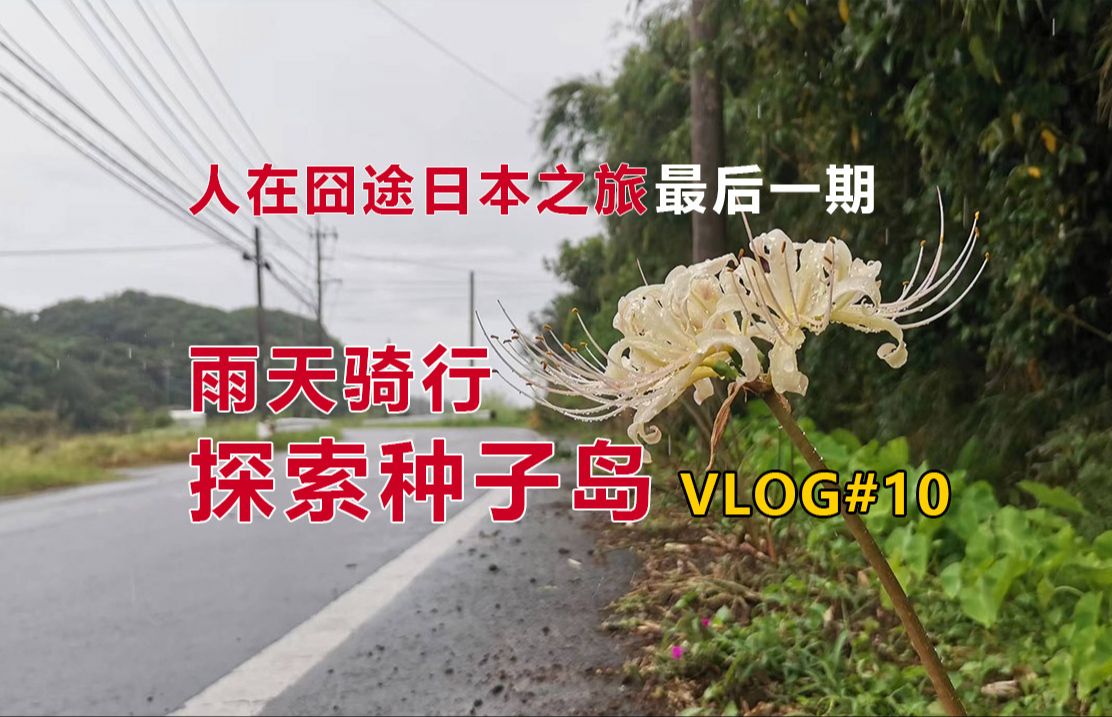 全身湿透 雨天骑行种子岛|探索南种子町|宇宙中心|回国遇到大麻烦!哔哩哔哩bilibili