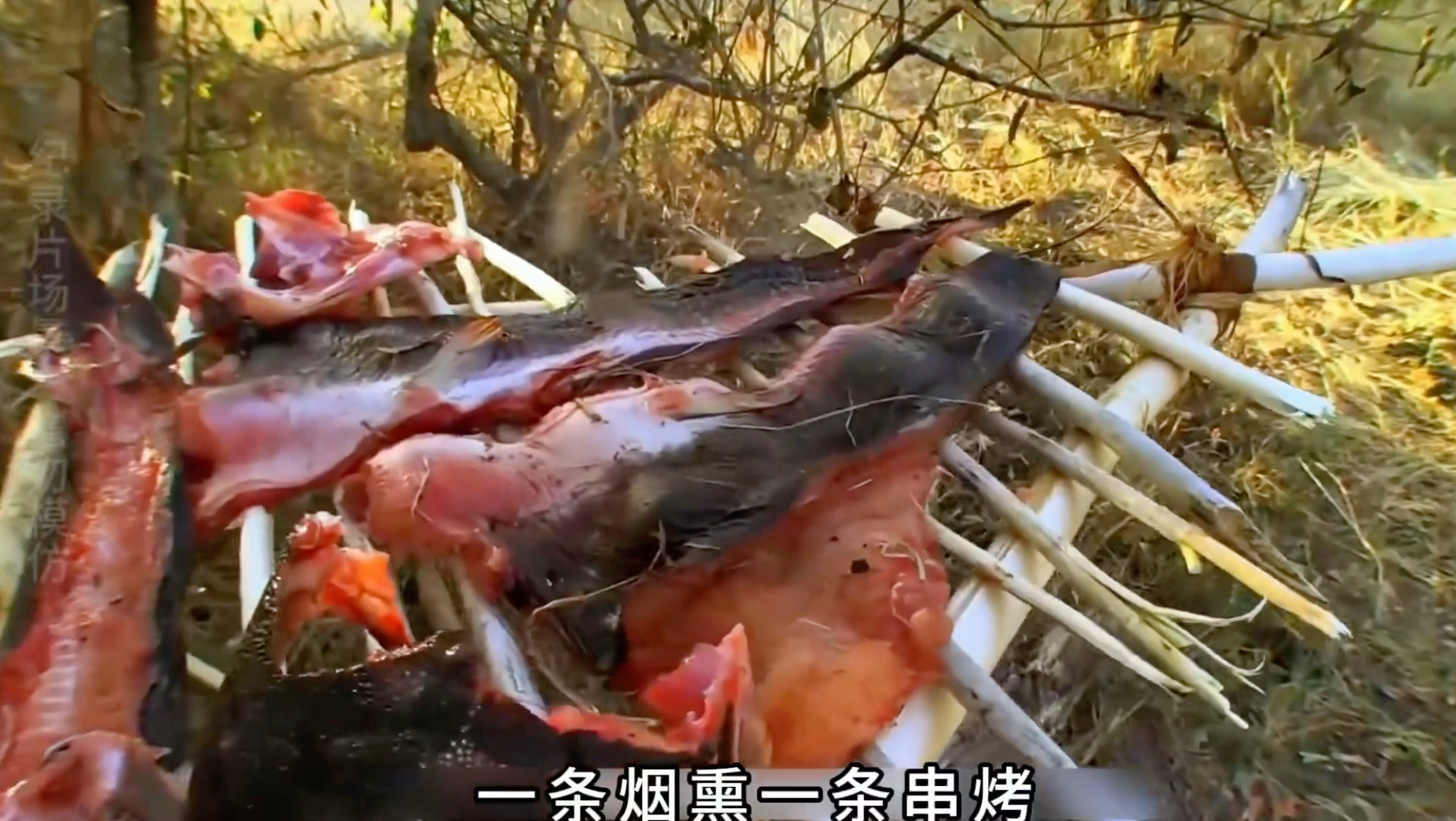 德爷单挑荒野 德爷卢旺达求生，吃上炭烤美味大鲶鱼