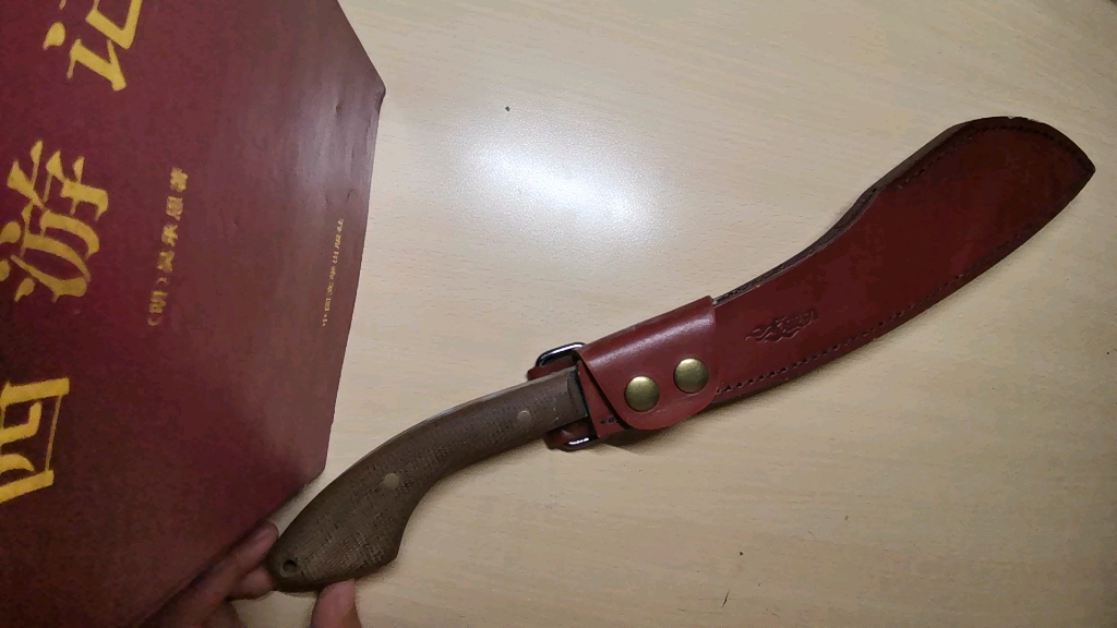 小鲁工 帕兰_哔哩哔哩_bilibili