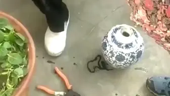 老爸珍藏一辈子的农村宝物，专家建议烧火测试真假，结果悲剧了！