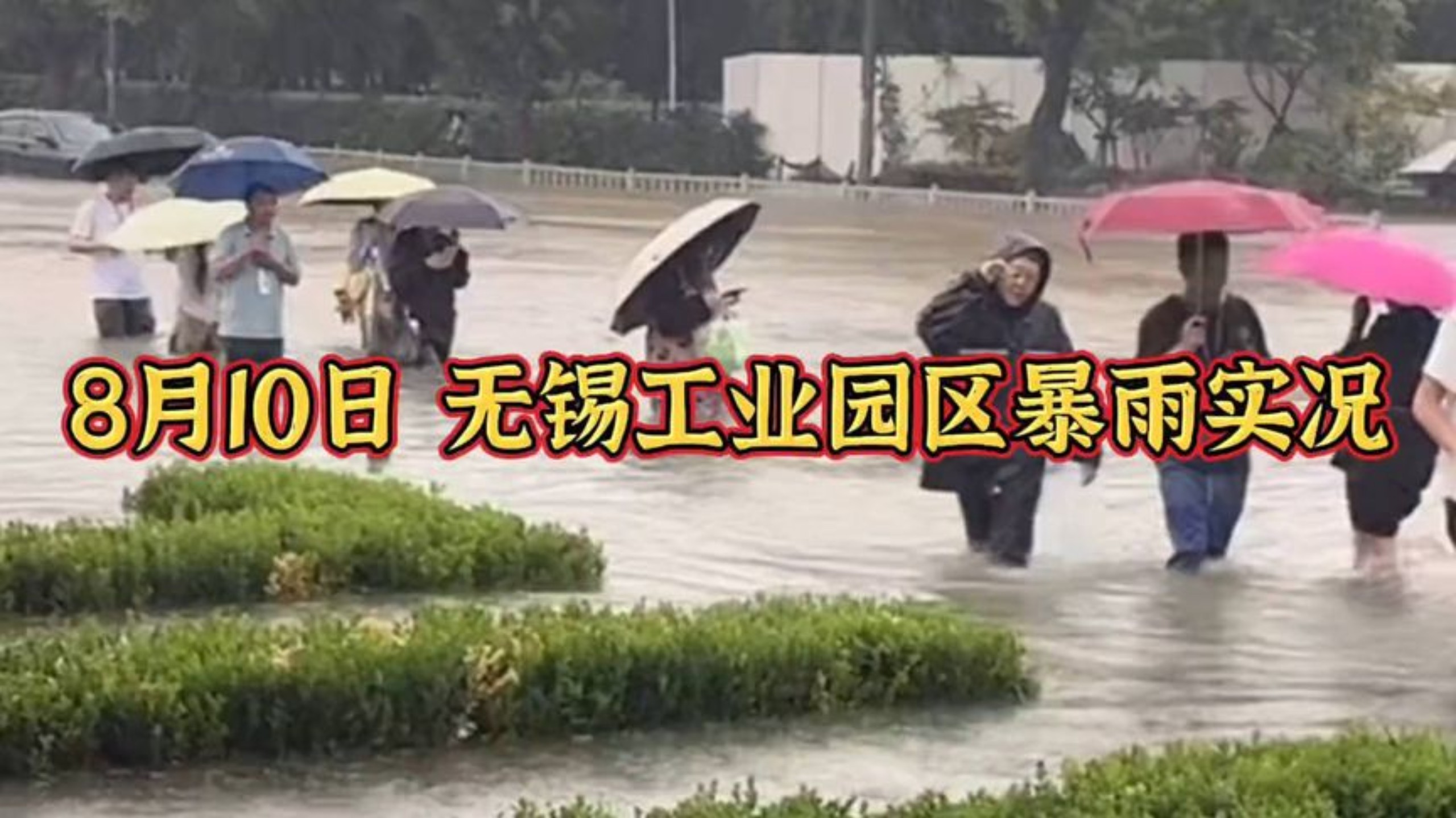 8月10日，无锡工业园区暴雨实况，积水很深！