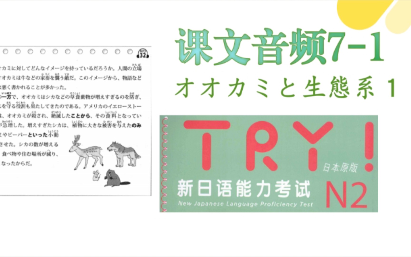 Try n2 7 