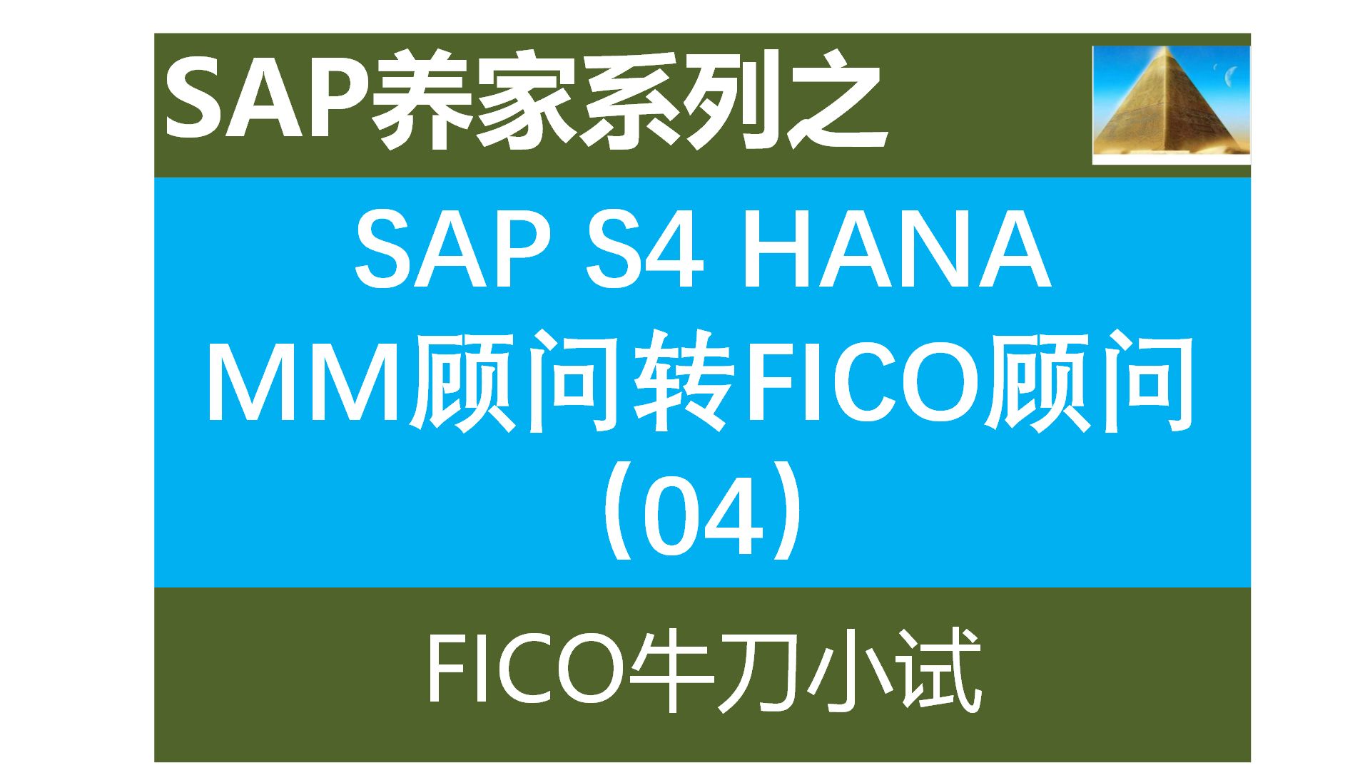 SAP MM顾问转FICO顾问04 FICO牛刀小试 SAP MM SAP FICO SAP PP SAP SD SAP ABAP哔哩哔哩bilibili