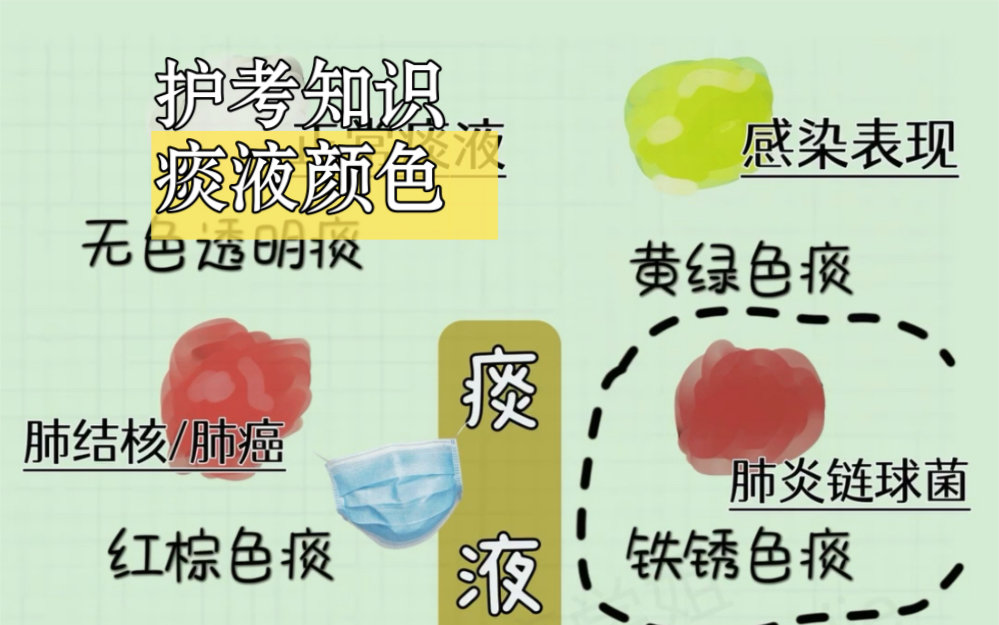 护考知识点/痰液颜色搭配