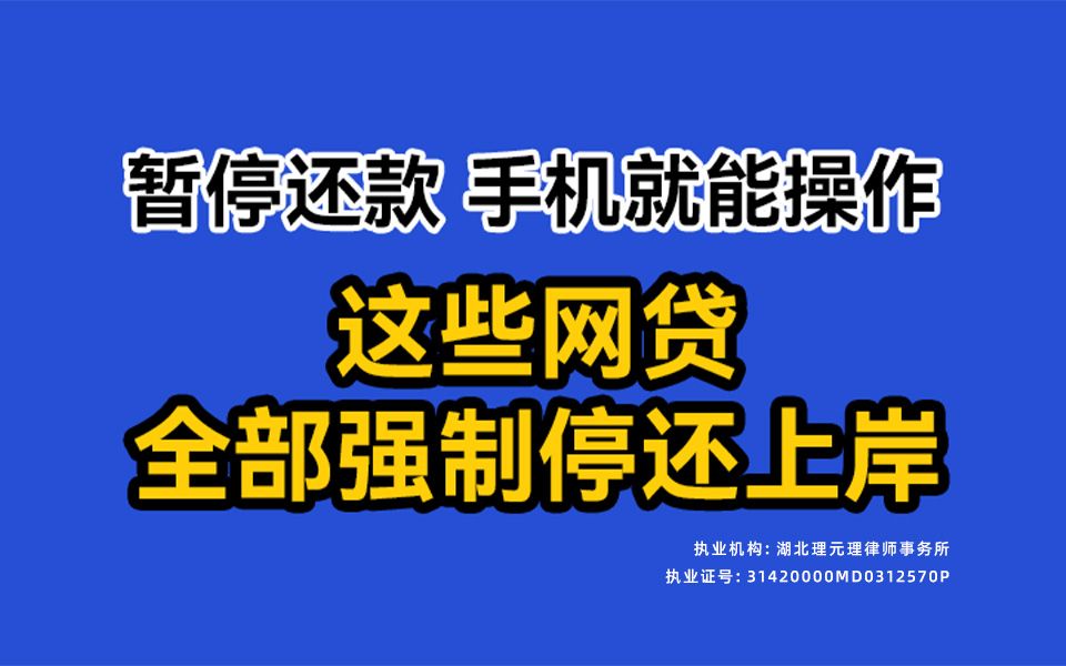 年底最后一波!欠了网贷银行信用卡无力偿还的负债人,暂停到2030年再还款了!!!哔哩哔哩bilibili