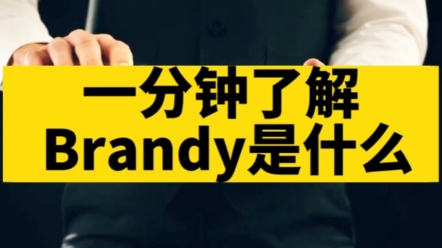 烈酒知识 | 看完秒懂Brandy是什么哔哩哔哩bilibili