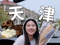 Download Video: 周末天津逛吃攻略：西北角早市|相声初体验|五大道city walk|国家海洋博物馆|小成本旅行