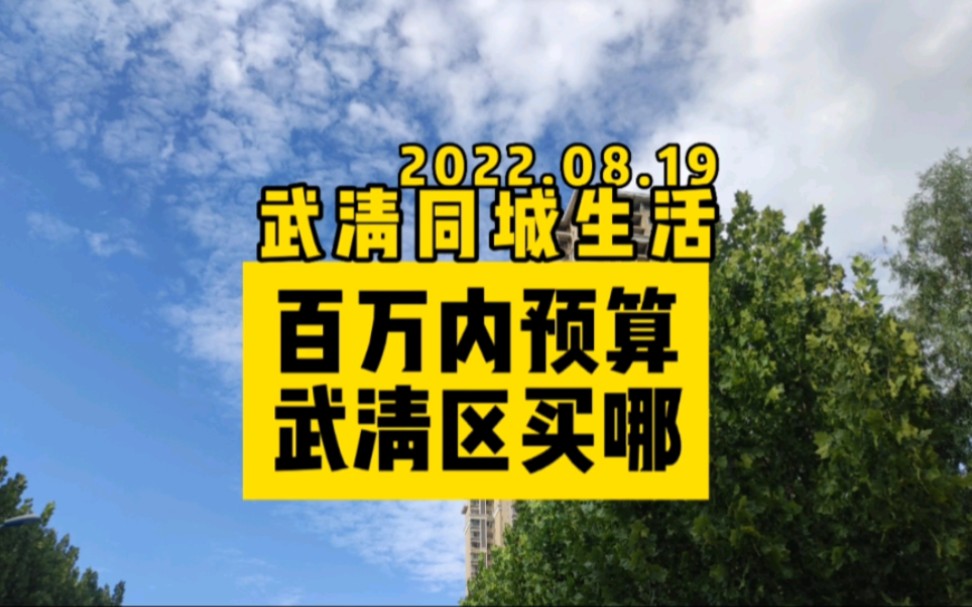 一百万内的预算在天津武清买房,哪个区域比较合适?这个视频可参考哔哩哔哩bilibili