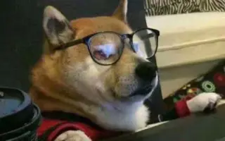 Xsewleuomfsdkm