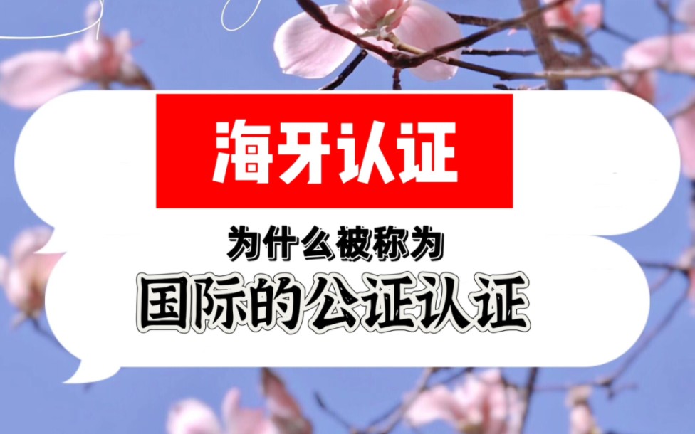 海牙认证为什么被称为国际的公证认证?