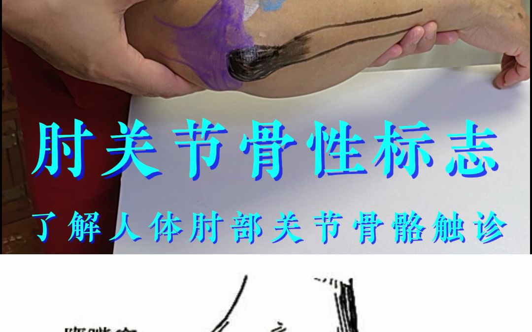 肘关节骨性标志哔哩哔哩bilibili