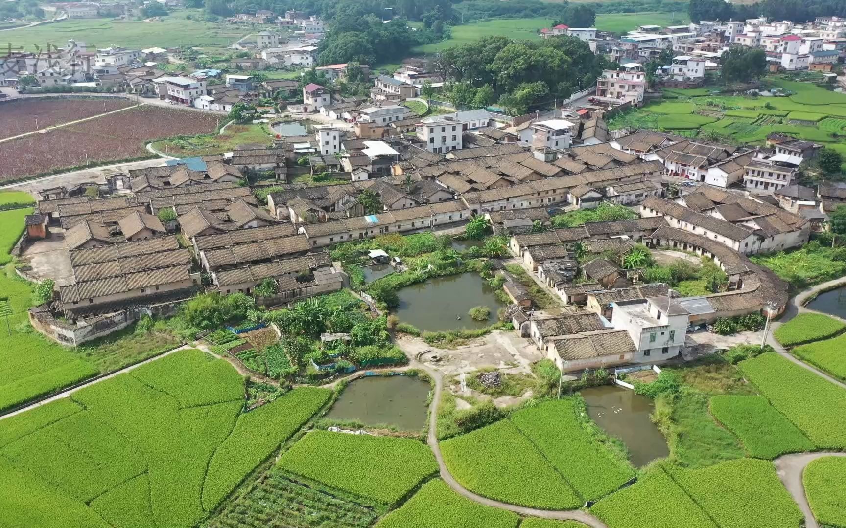 episode 105德志大哥带我们参观蕉岭县广福镇的乐干九栋有三四百年的