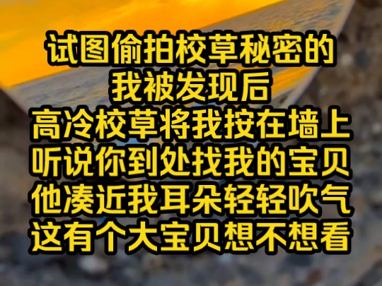 《晚风推倒》要命了,试图偷拍校草秘密的我被发现后,高冷校草将我按在墙上. “听说你到处找我的宝贝?”他凑近我耳朵轻轻吹气,“这有个大宝贝,...