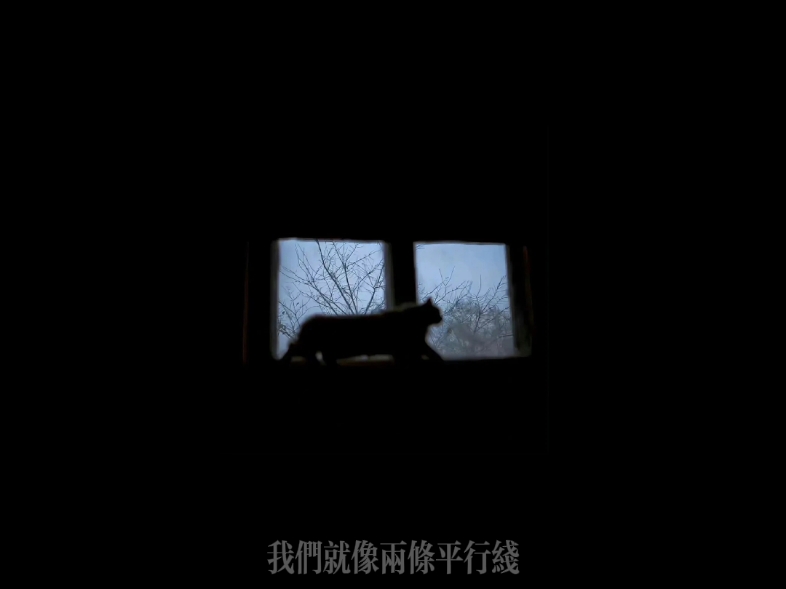两条平行线,没有交集.