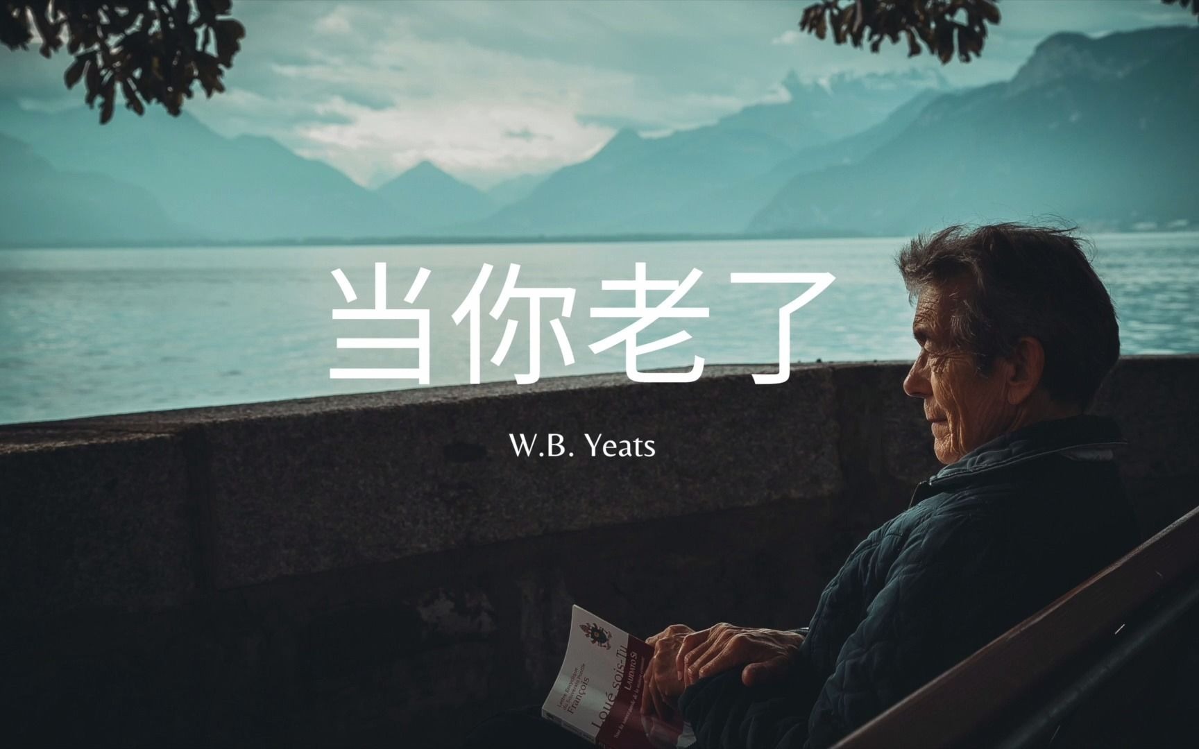 [图][诗朗诵] 当你老了 (When You Are Old 中文版)