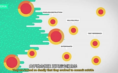 【中字】免疫系统简介Ⅰ:细菌入侵Immune System Explained @阿尔法小分队科教组哔哩哔哩bilibili