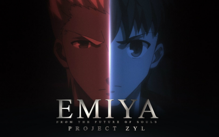 [图]【ZYL】FATE-EMIYA