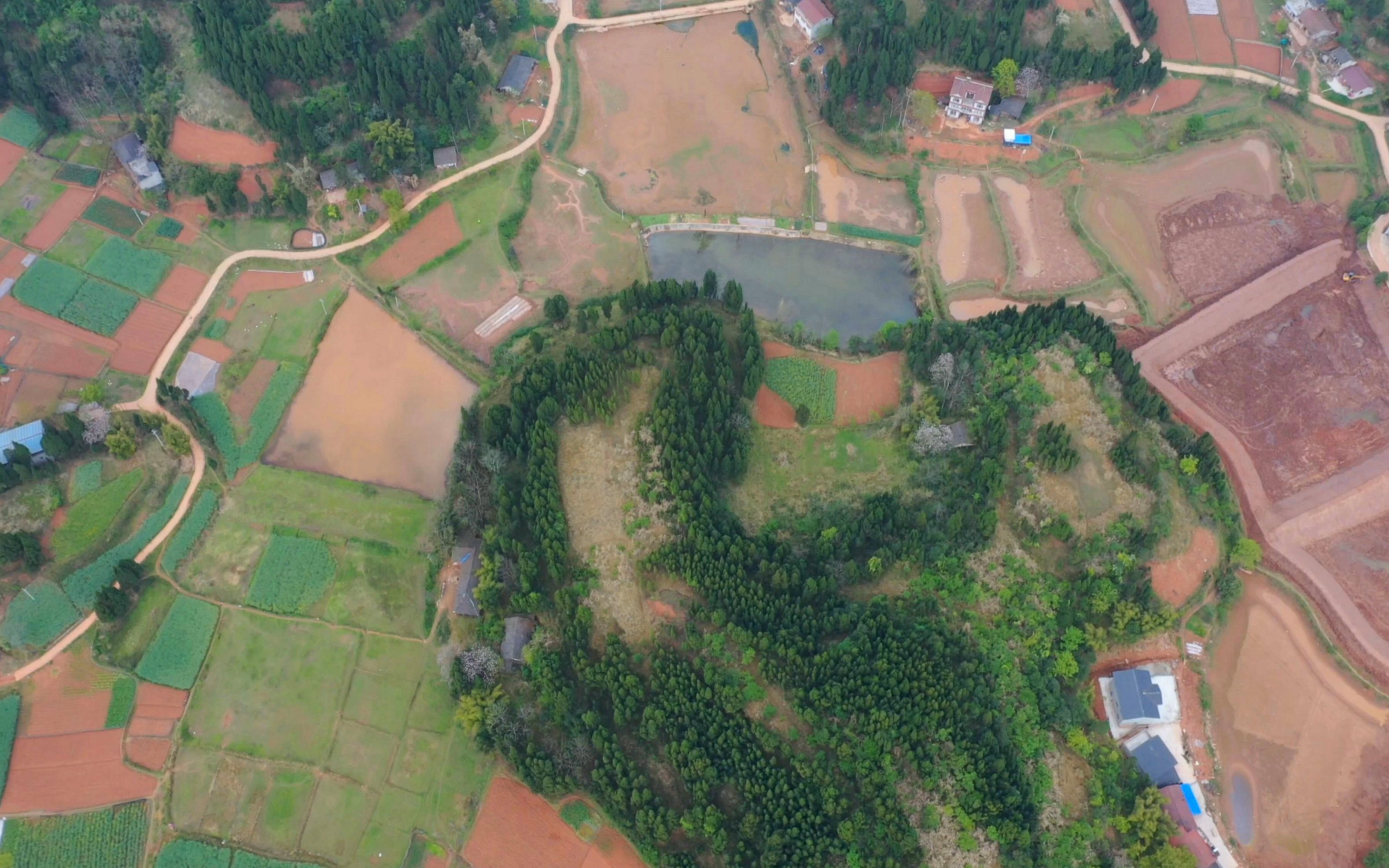 [图]四川顶级风水宝地，大龙尽头结小窝，王君植成都寻龙点穴案例视频