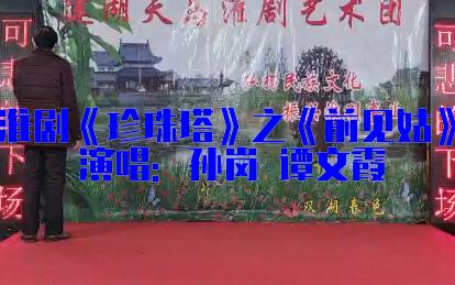 [图]淮剧《珍珠塔》之《前见姑》演唱：孙岗 谭文霞20221205