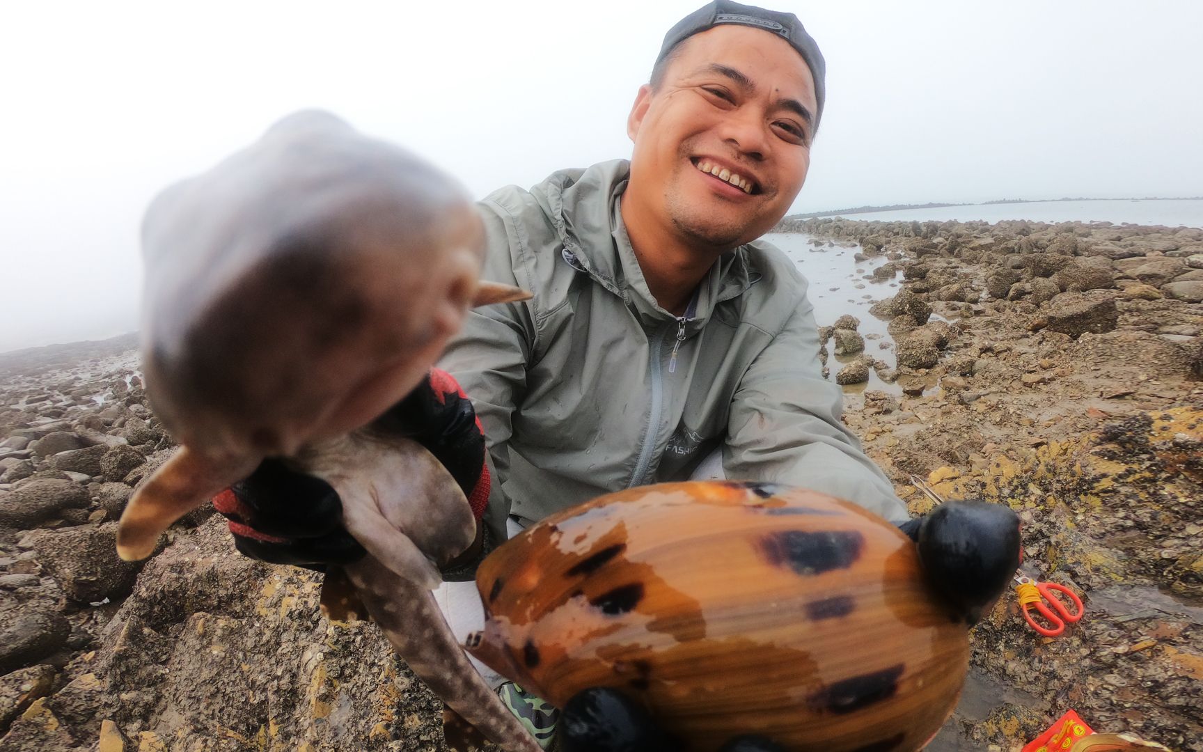 大熊雾天到海边赶海,海货捡不停,居然发现一条搁浅的"鲨鱼"
