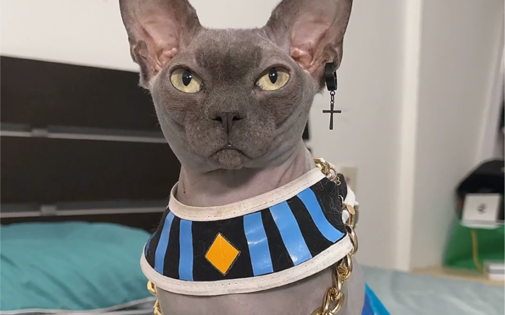 小破坏神的战斗力真强