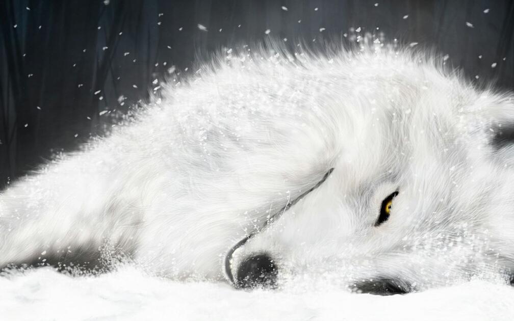 狼雨wolf'rain SEEKING RAKUEN 川元利浩画集_哔哩哔哩_bilibili