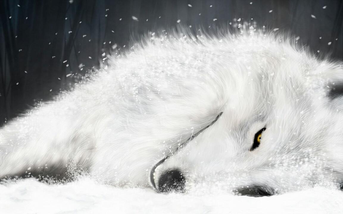 狼雨wolf'rain SEEKING RAKUEN 川元利浩画集_哔哩哔哩_bilibili