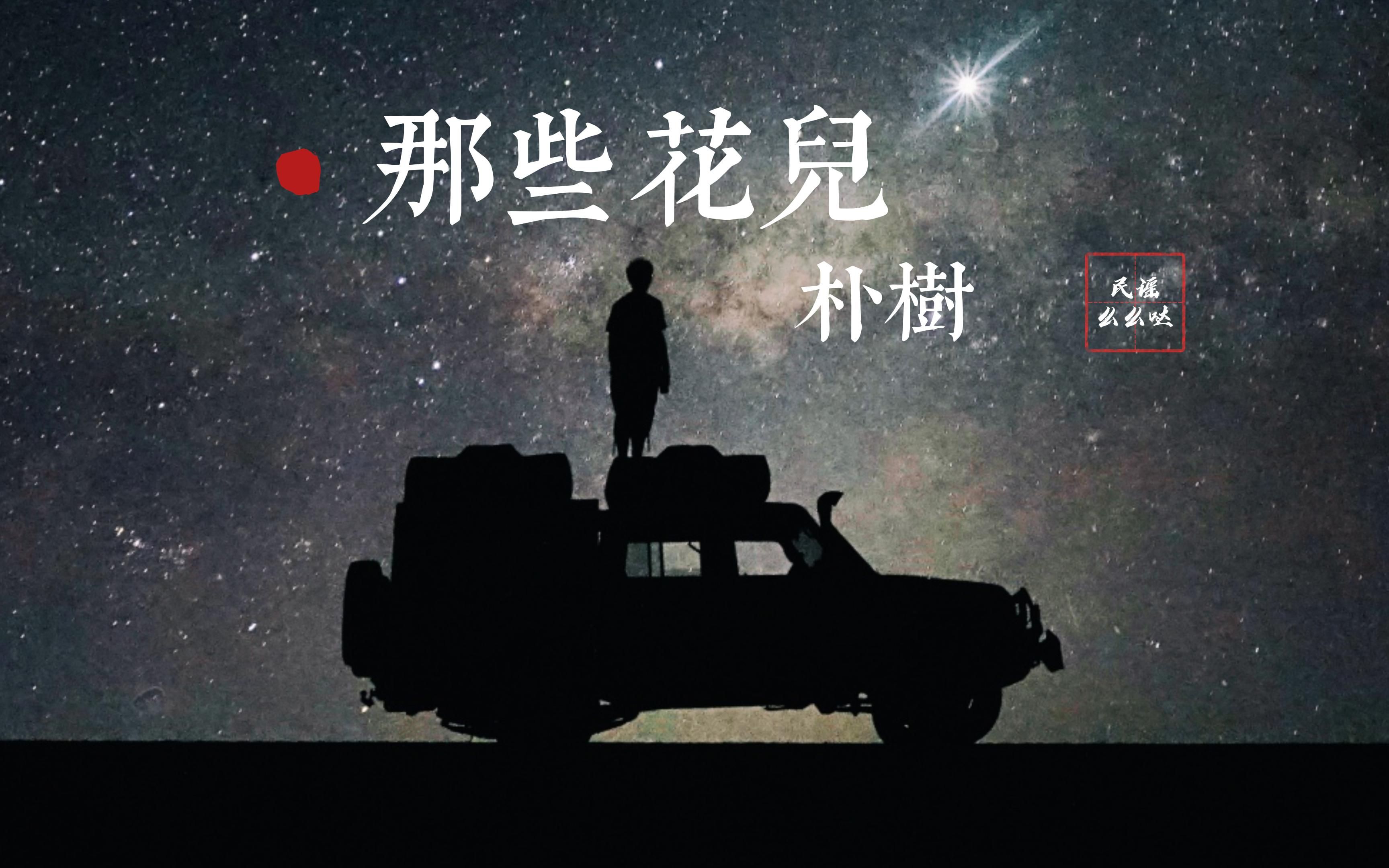 【无损音质】朴树经典歌曲《那些花儿》无损音质黑胶唱片完整版