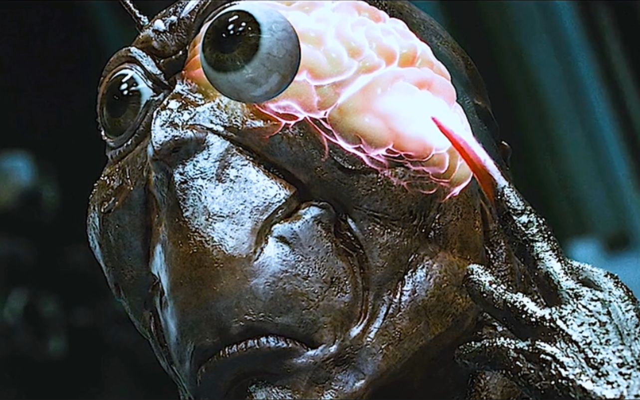 变异蟑螂成指数式增长,吃铁如泥太tm可怕了!