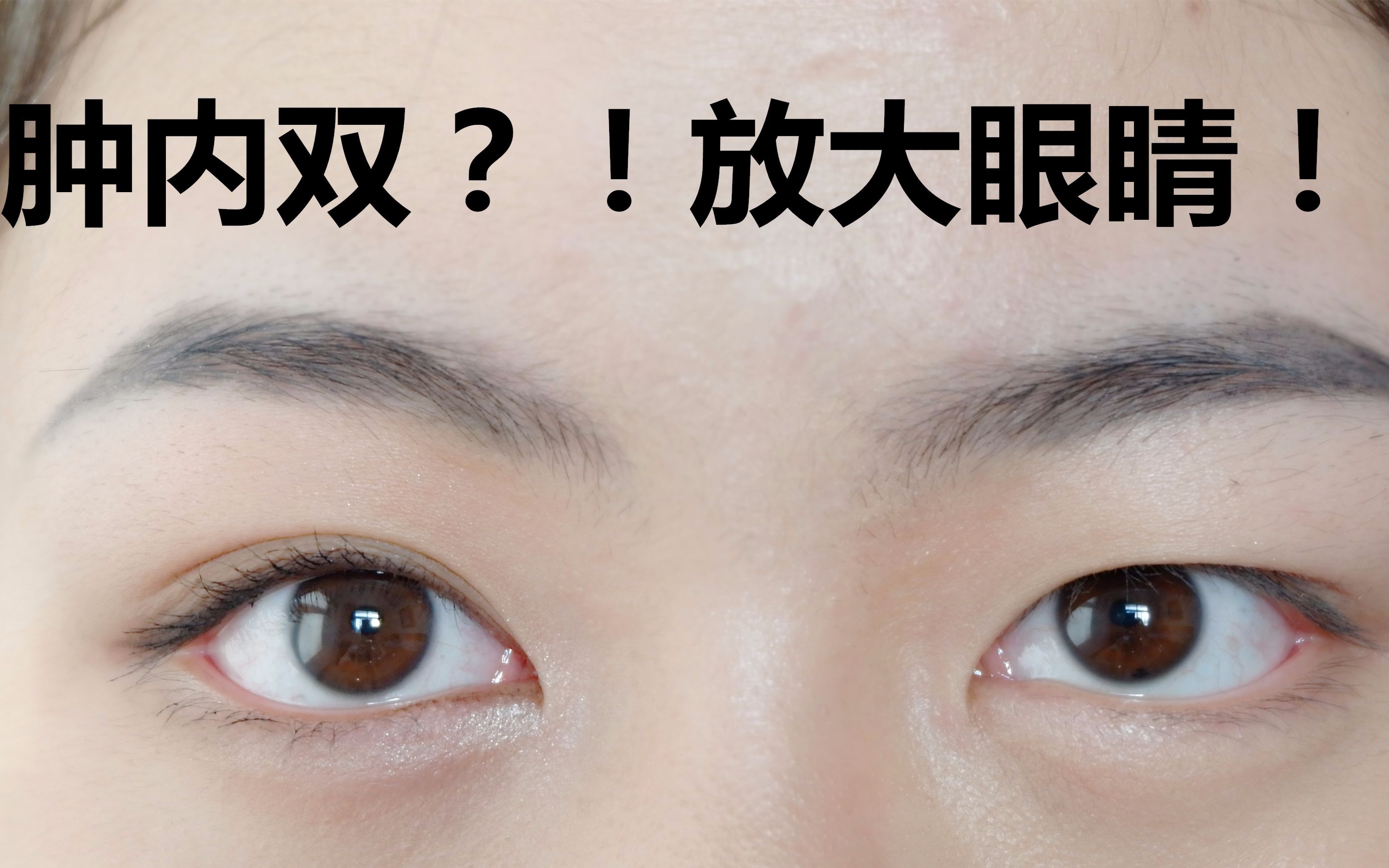 【晨二酱】肿内双日常放大眼睛眼妆|眼妆全线国货