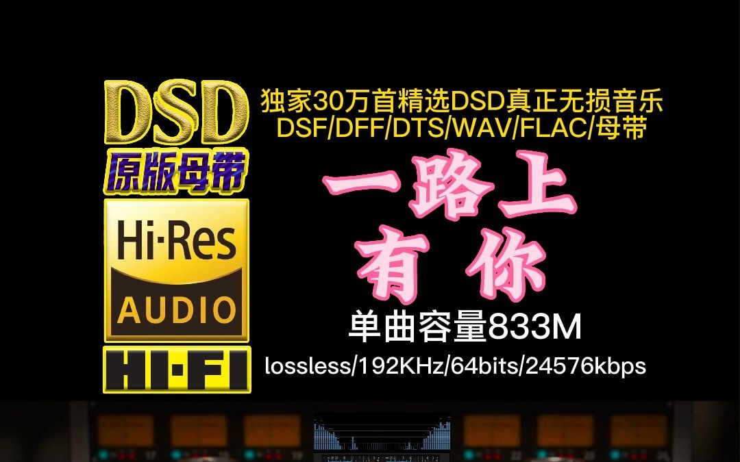 [图]张学友2023巡演开唱！经典情歌《一路上有你》DSD完整版【30万首精选真正DSD无损HIFI音乐，百万调音师制作】