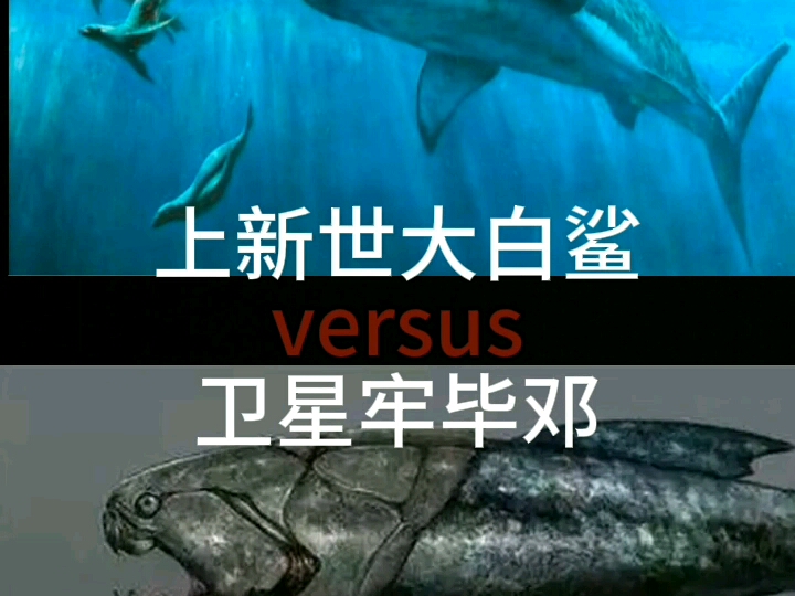 [粉丝投稿]上新世大白鲨vs卫星邓氏鱼(原始生物vs卫星怪物)哔哩哔哩bilibili