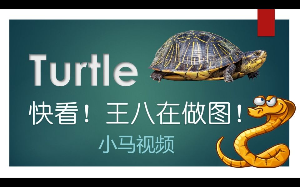 【Python】turtle  快看!王八在做图!哔哩哔哩bilibili