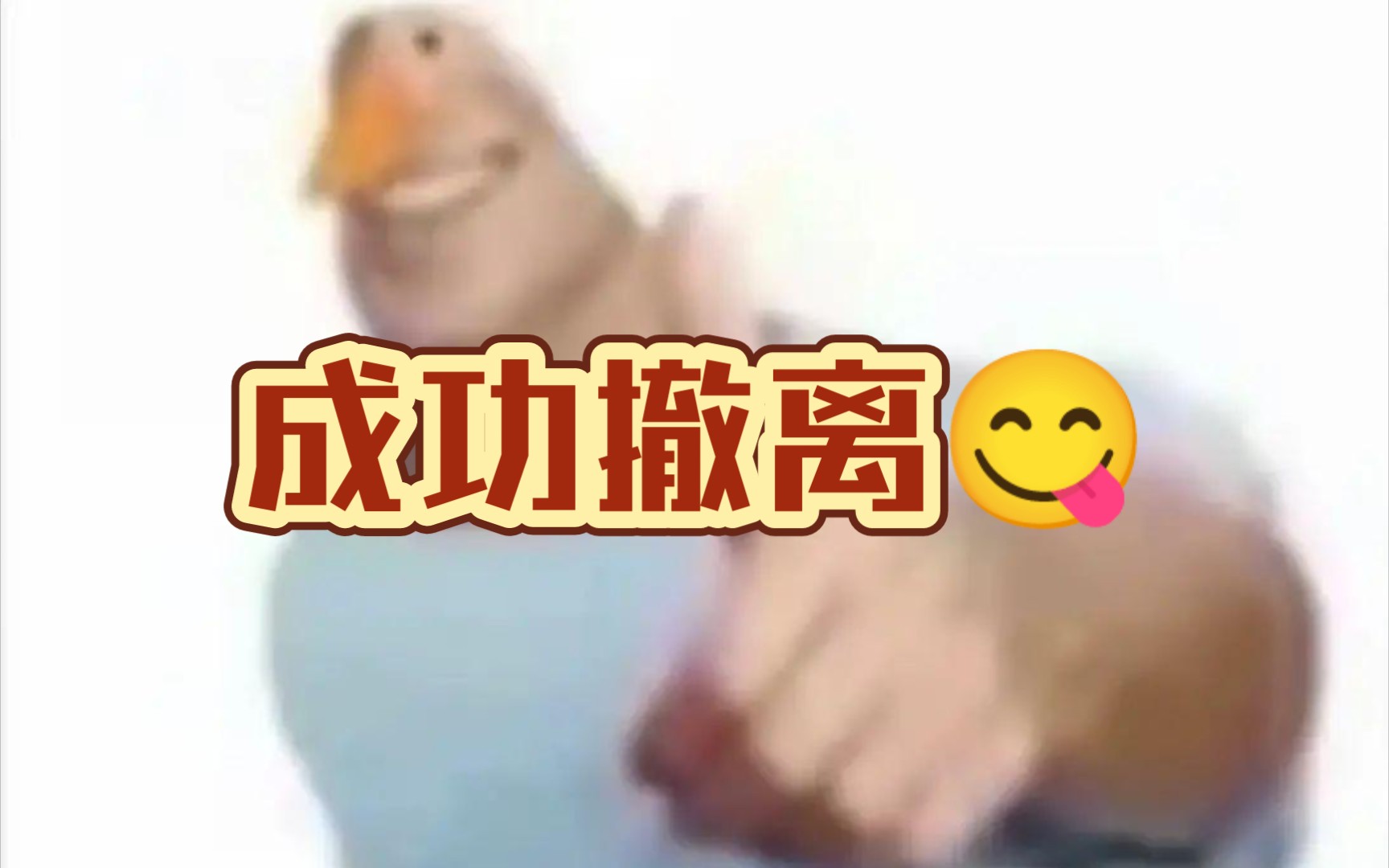 偷鸡不成蚀把米