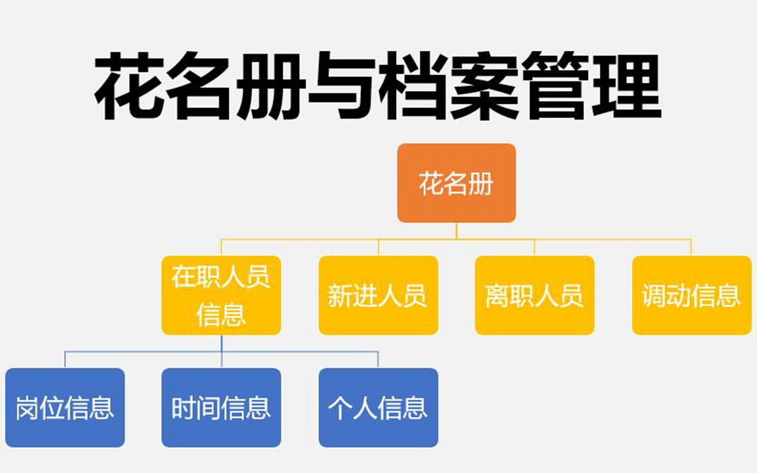 人力资源实操演示03: 花名册与档案管理 人力资源 HR哔哩哔哩bilibili