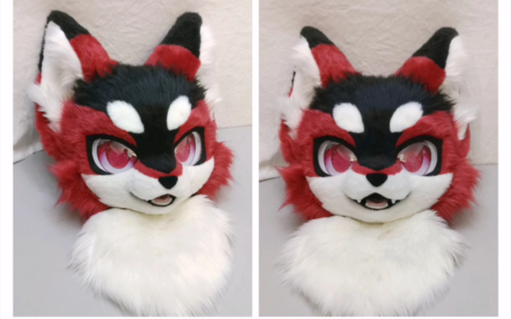 【兽装/fursuit】kion全装展示